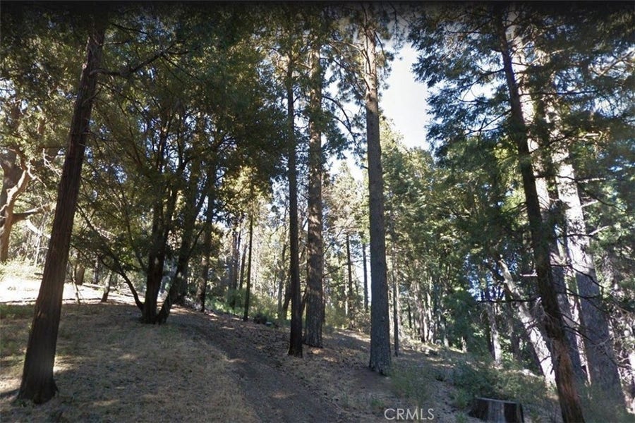 Property photo for 59 Mojave River Road, Cedarpines Park, CA