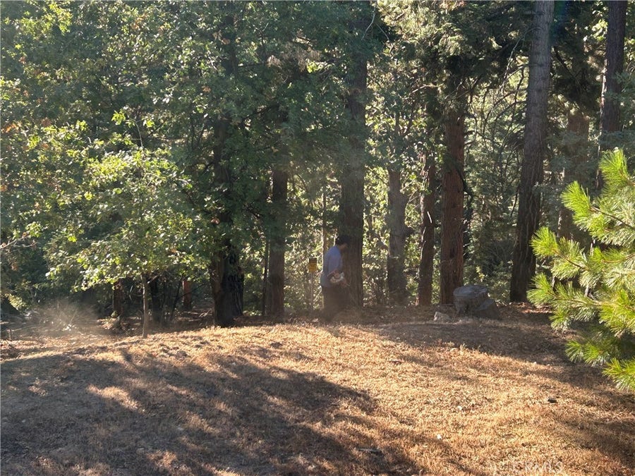 Property photo for 2335 Deep Creek, Running Springs, CA