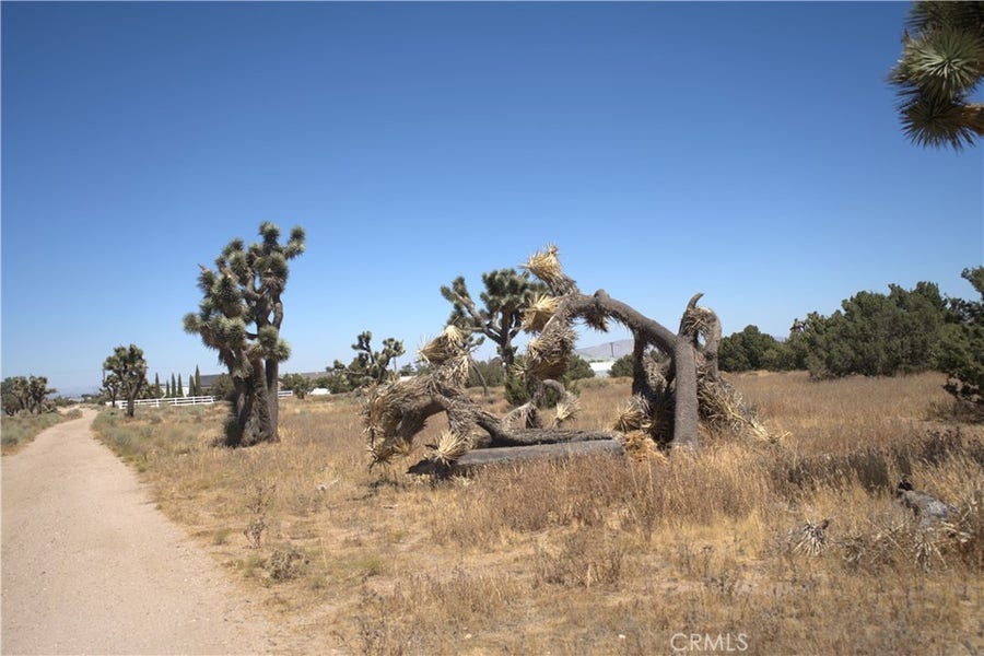Property photo for 0 Fremontia, Oak Hills, CA