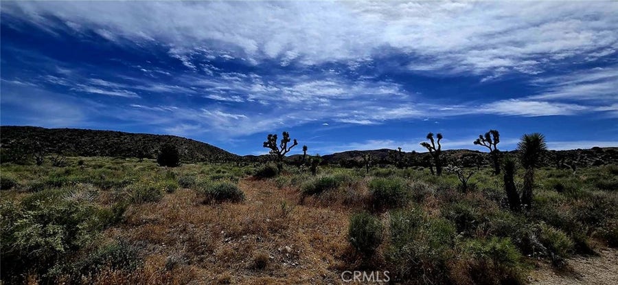 Property photo for 8900 Bainard Canyon Road, Littlerock, CA