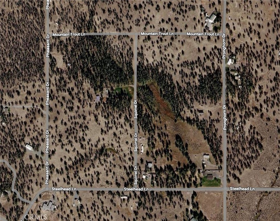 Property photo for 0 Pheasant Drive, Alturas, CA