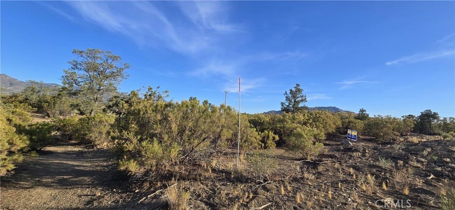 Property photo for 64001 Palm Canyon, Mountain Center, CA