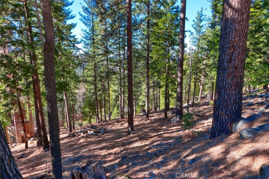Property photo for 7349 Yosemite Park Way, Yosemite, CA