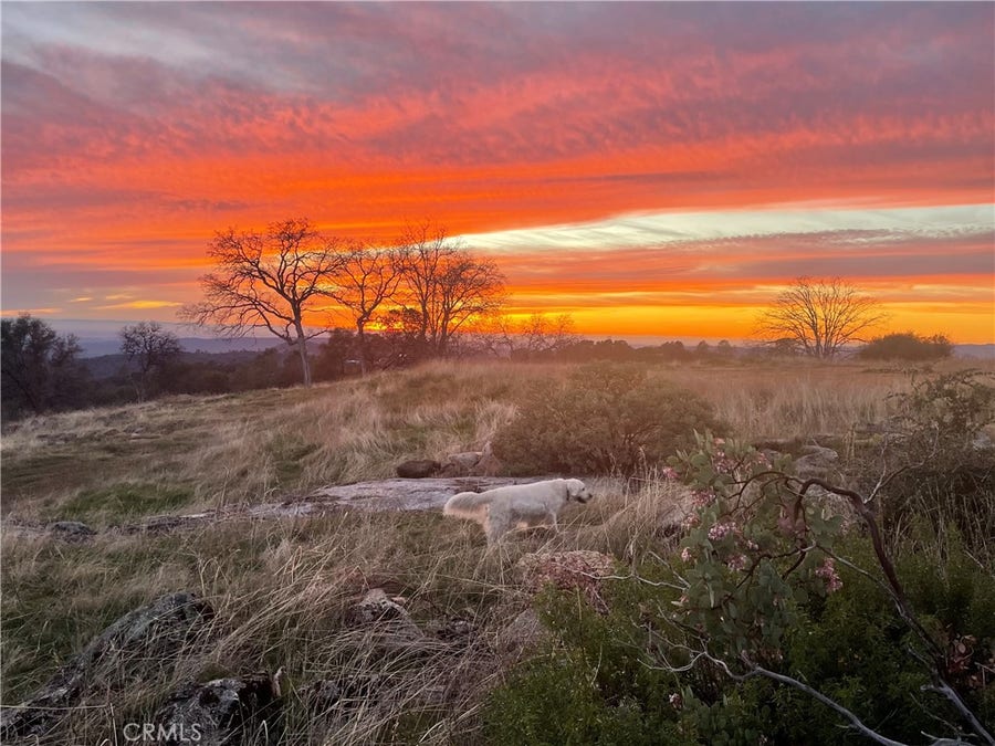 Property photo for 0 Buggy Whip Dr., Coarsegold, CA