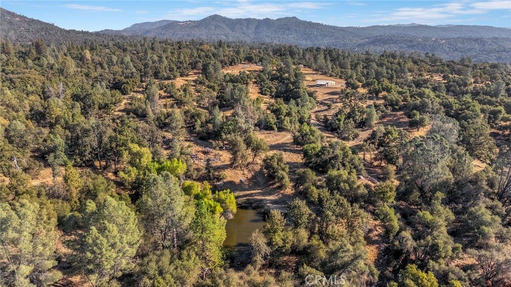 43980 Highway 49, Ahwahnee, CA 93601 43980 Highway 49, Ahwahnee, CA 93601