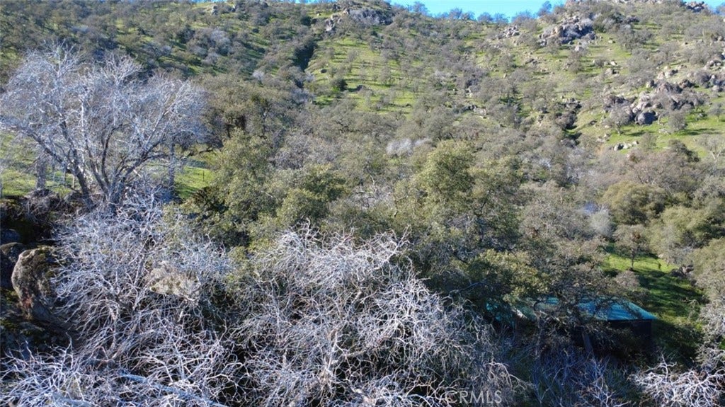 37087 Pebble, Squaw Valley, CA 93675 37087 Pebble, Squaw Valley, CA 93675