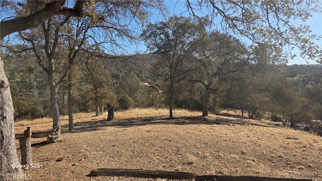 29573 Jim Bowie Ct, Coarsegold, CA 93614 29573 Jim Bowie Ct, Coarsegold, CA 93614