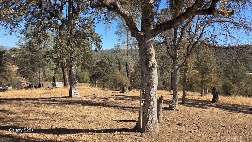 29573 Jim Bowie Ct, Coarsegold, CA 93614 29573 Jim Bowie Ct, Coarsegold, CA 93614