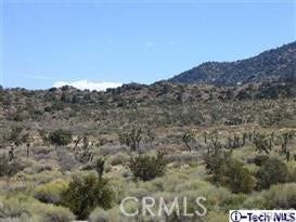 300 E Z12 Street, Llano, CA 93544 300 E Z12 Street, Llano, CA 93544
