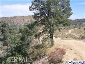 300 E Z12 Street, Llano, CA 93544 300 E Z12 Street, Llano, CA 93544