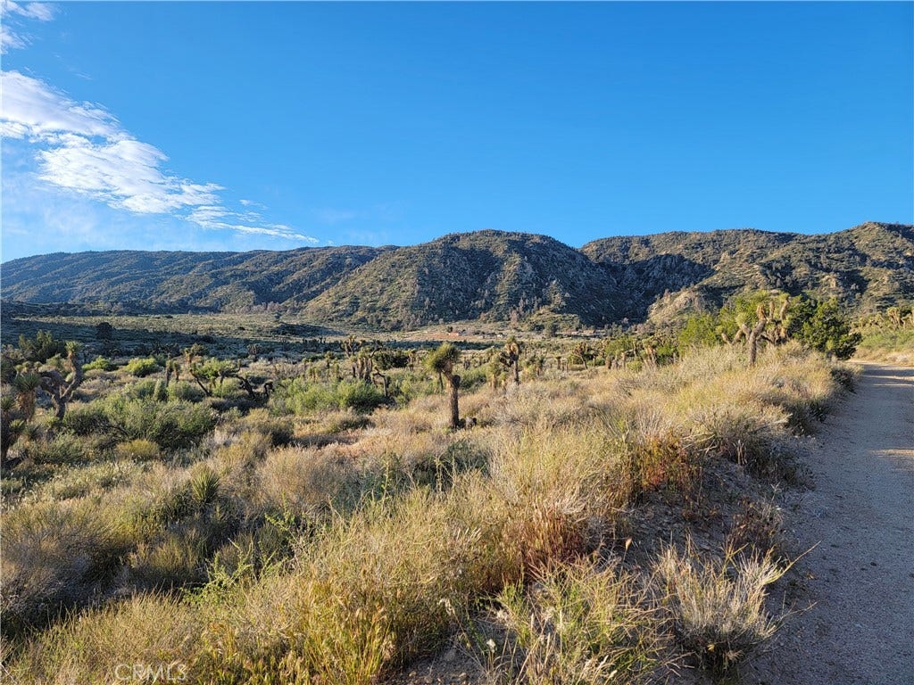 300 E Z12 Street, Llano, CA 93544 300 E Z12 Street, Llano, CA 93544
