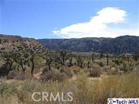 300 E Z12 Street, Llano, CA 93544 300 E Z12 Street, Llano, CA 93544