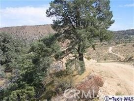 300 E Z12 Street, Llano, CA 93544 300 E Z12 Street, Llano, CA 93544