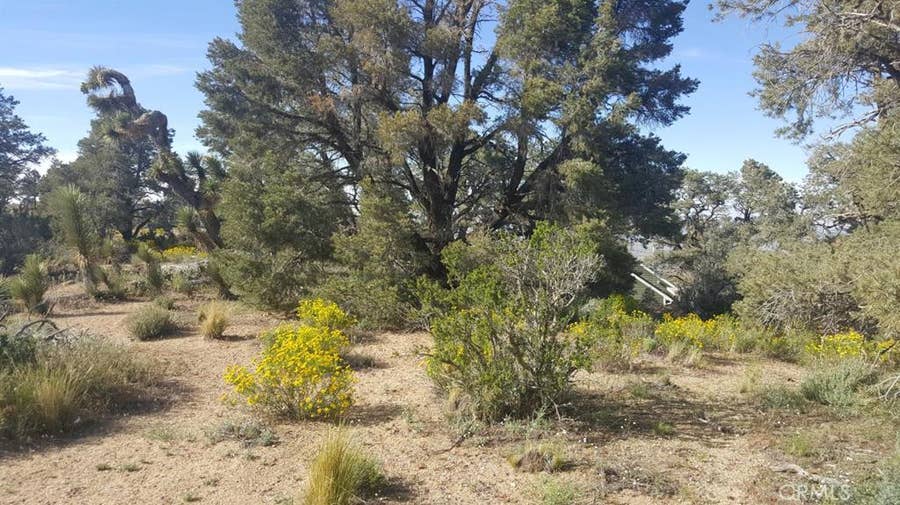 Property photo for 0 Scenic Creek Drive, Wrightwood, CA