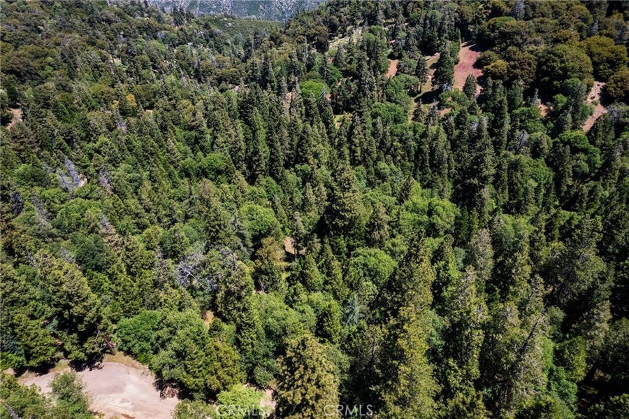 Property photo for 3430247 Mojave View Drive, Cedarpines Park, CA
