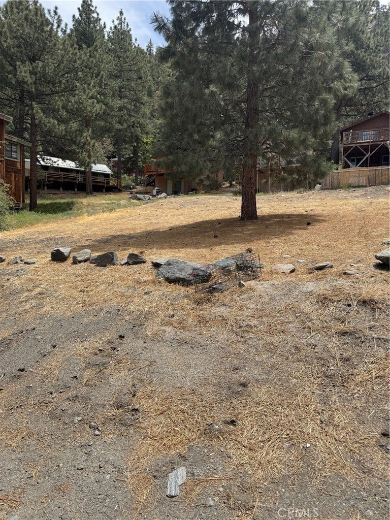 Property photo for 999 Buckthorn Road, Wrightwood, CA