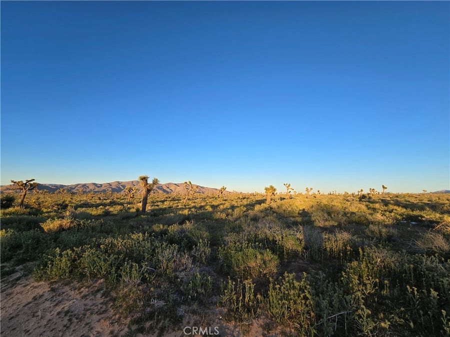 Property photo for 55 Japatul Road, Apple Valley, CA