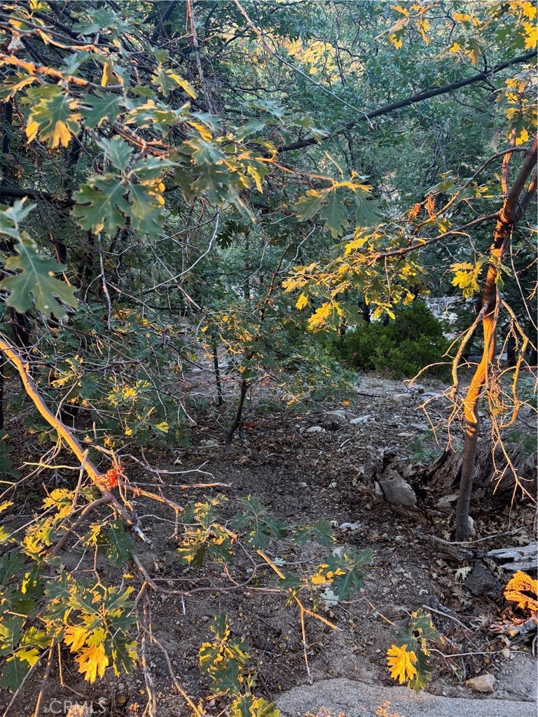 Property photo for 1 Crest Forest, Cedarpines Park, CA