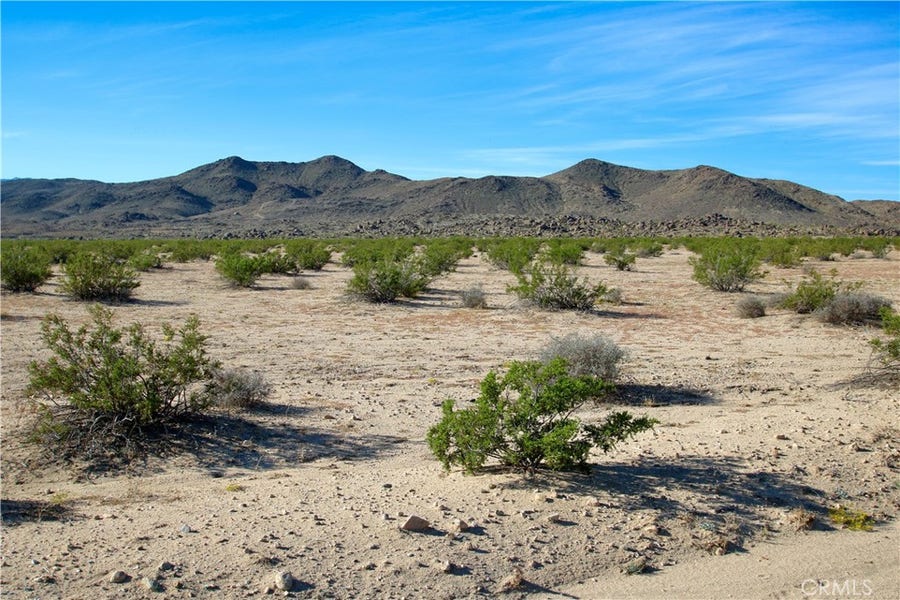Property photo for 63305 Ranier Road, Joshua Tree, CA
