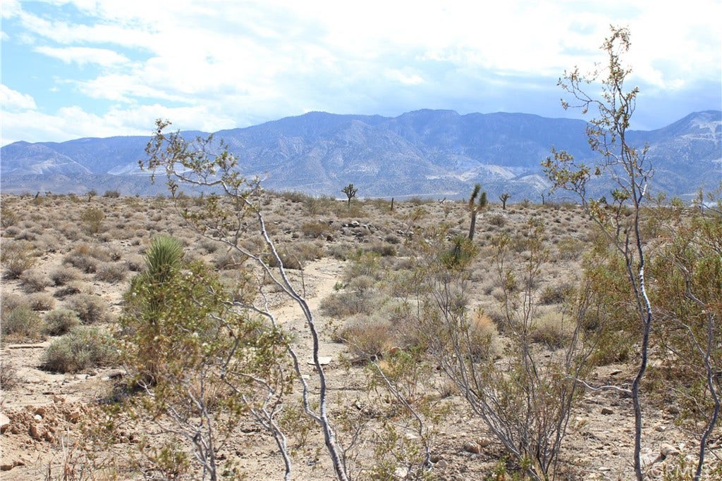 769 Meridian Road, Lucerne Valley, CA 92356