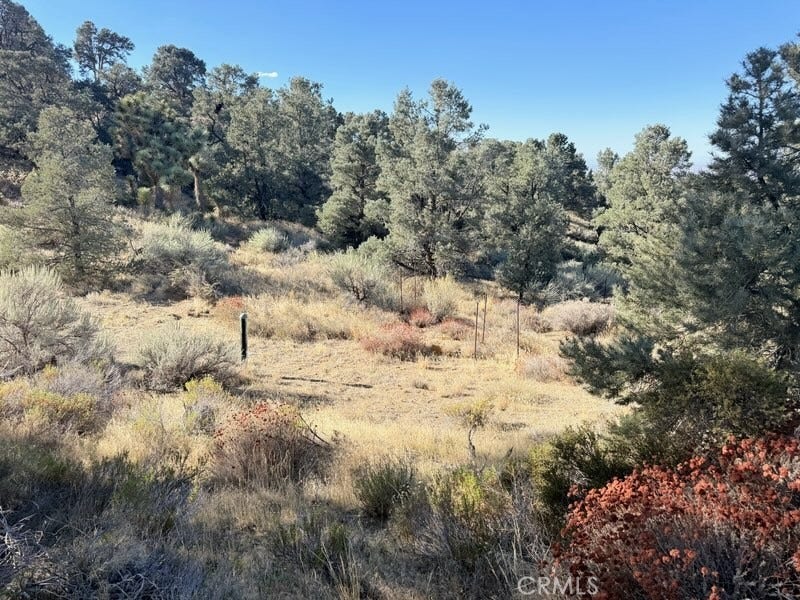 Property photo for 0 Homeridge Drive, Pinon Hills, CA