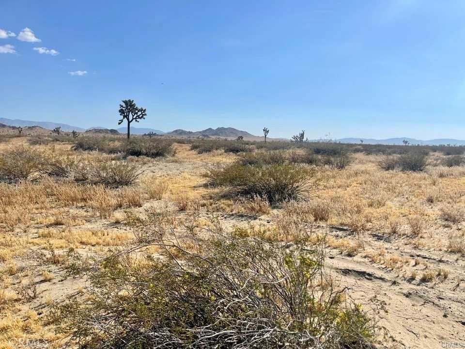 150 E Avenue K12 APN#3362-006-009 Roosevelt, Lancaster, CA 93535 150 E Avenue K12 APN#3362-006-009 Roosevelt, Lancaster, CA 93535