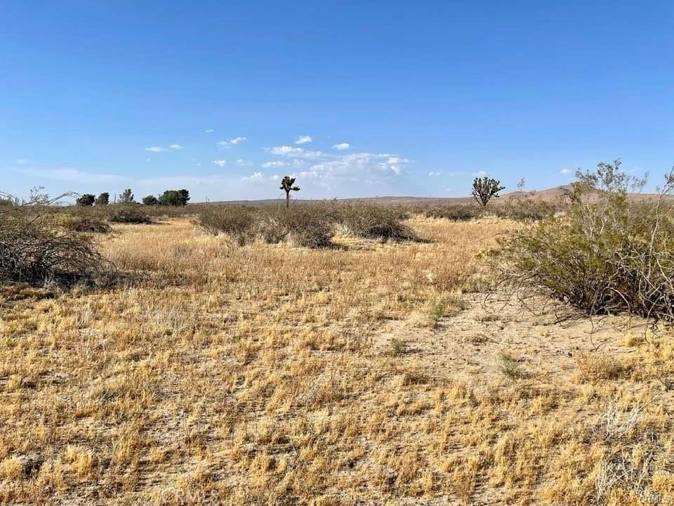 150 E Avenue K12 APN#3362-006-010 Roosevelt, Lancaster, CA 93535 150 E Avenue K12 APN#3362-006-010 Roosevelt, Lancaster, CA 93535