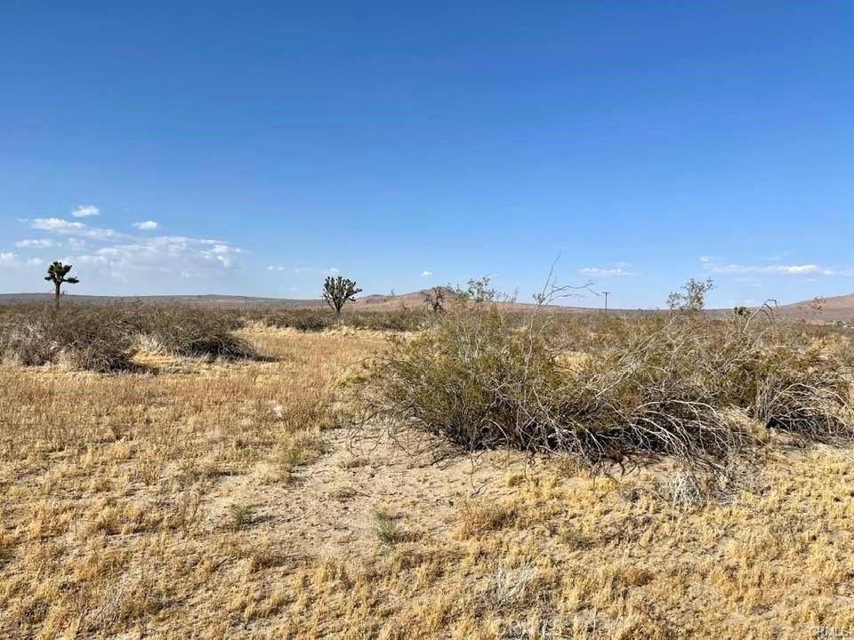 150 E Avenue K12 APN#3362-006-010 Roosevelt, Lancaster, CA 93535 150 E Avenue K12 APN#3362-006-010 Roosevelt, Lancaster, CA 93535