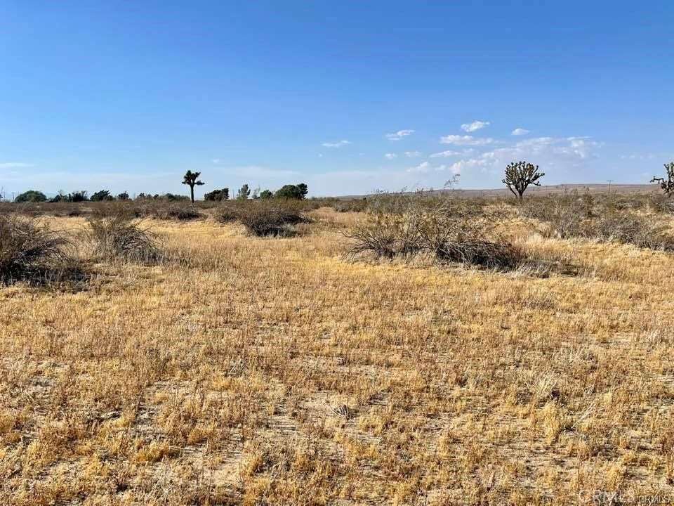 150 E Avenue K12 APN#3362-006-010 Roosevelt, Lancaster, CA 93535 150 E Avenue K12 APN#3362-006-010 Roosevelt, Lancaster, CA 93535