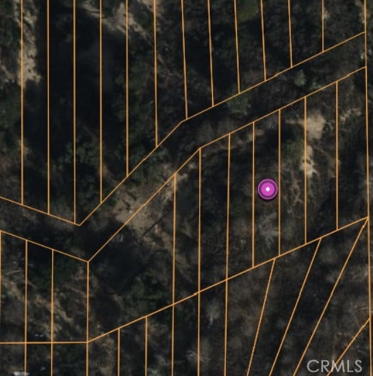 Property photo for 0 Lignum Vitae Drive, Cedar Glen, CA