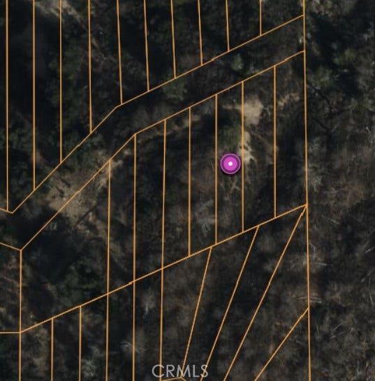 Property photo for 0 Lignum Vitae Drive, Cedar Glen, CA