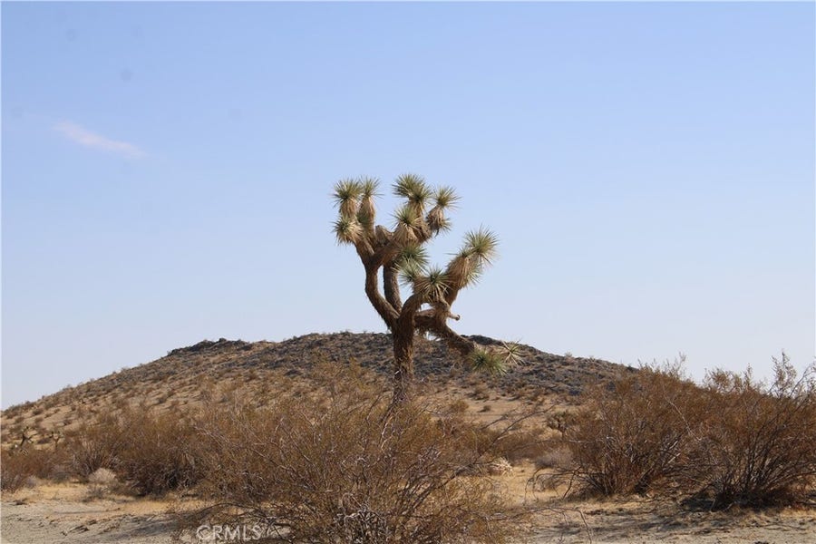 Property photo for 20 Skyranch Road, Adelanto, CA