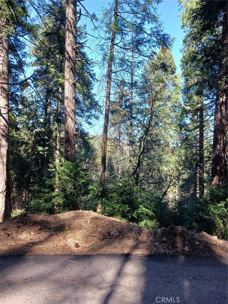 Property photo for 35 Spring Drive, Cedarpines Park, CA