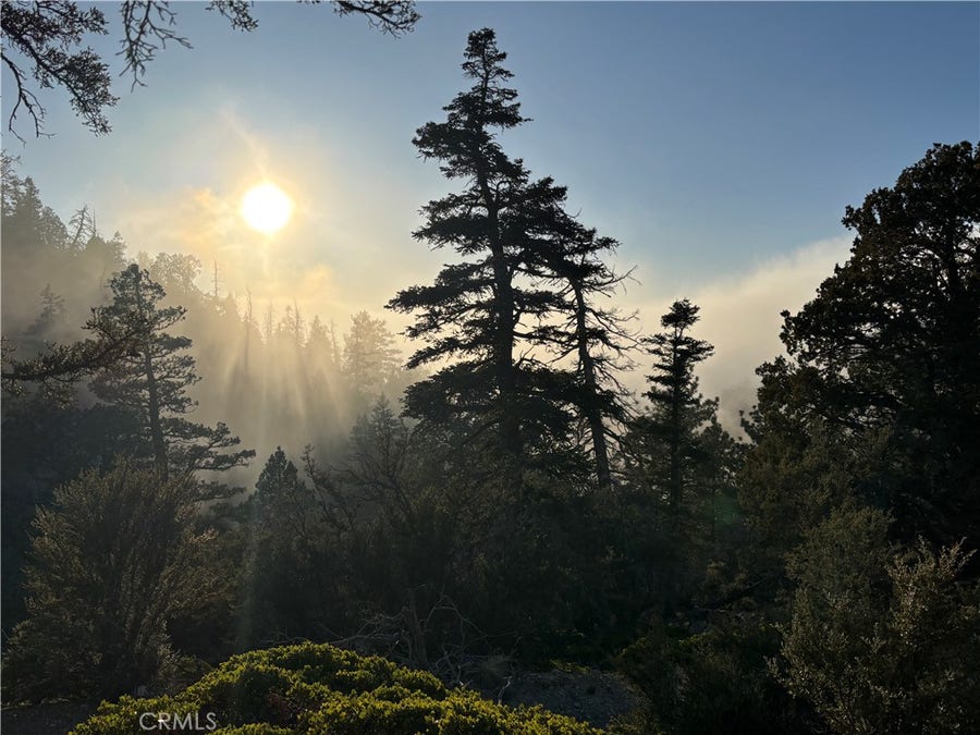 Property photo for 0 Ironwood, Angelus Oaks, CA