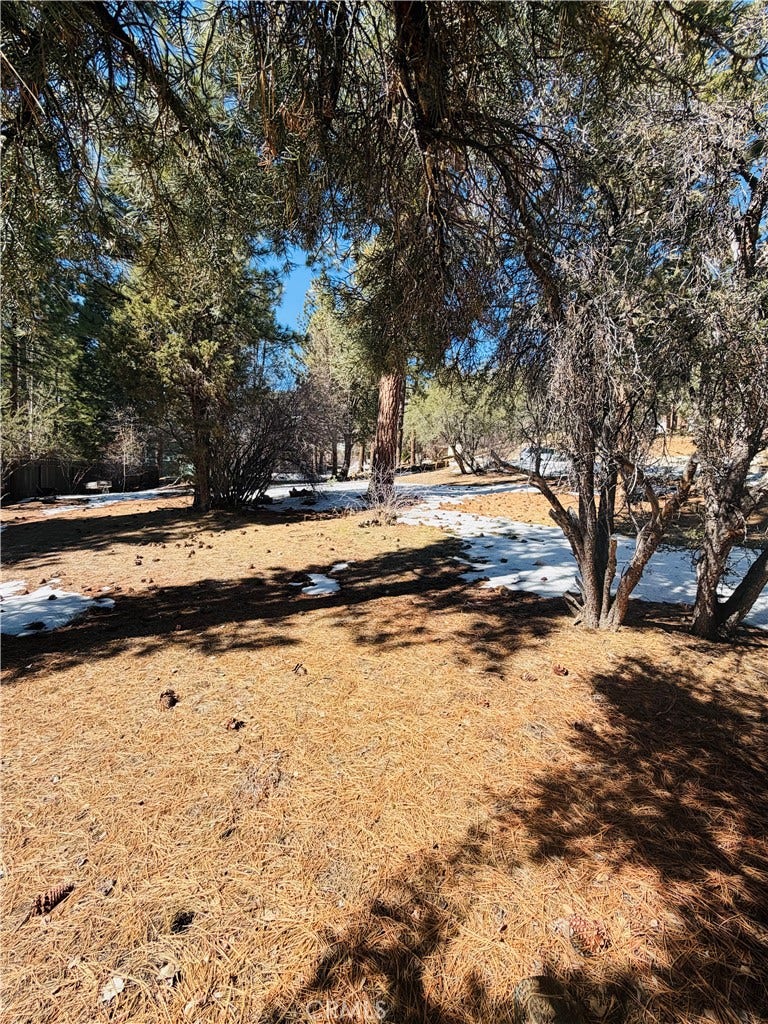 Property photo for 808 Antelope Mountain Drive, Big Bear City, CA