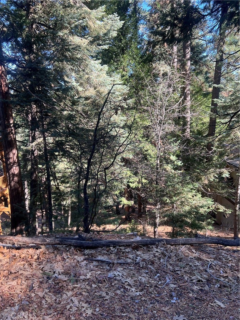 Property photo for 0 Forest, Twin Peaks, CA