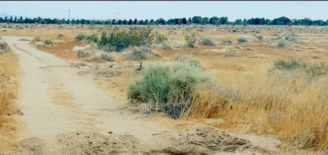 Property photo for 48 3170-017-048- 30th St E & Columbia Wy., Lancaster, CA