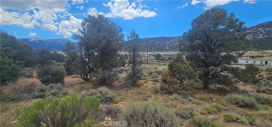 Property photo for 0 Baldwin Lake Road, Big Bear City, CA