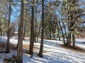 Property photo for 0 Columbine, Big Bear City, CA