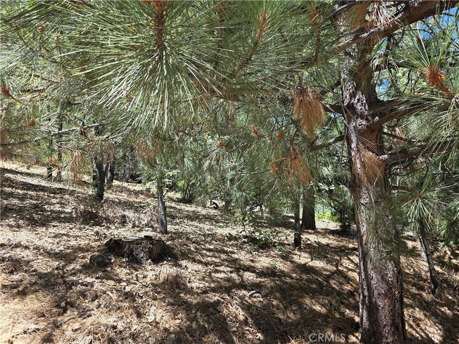 Property photo for 28276 Arbon, Lake Arrowhead, CA