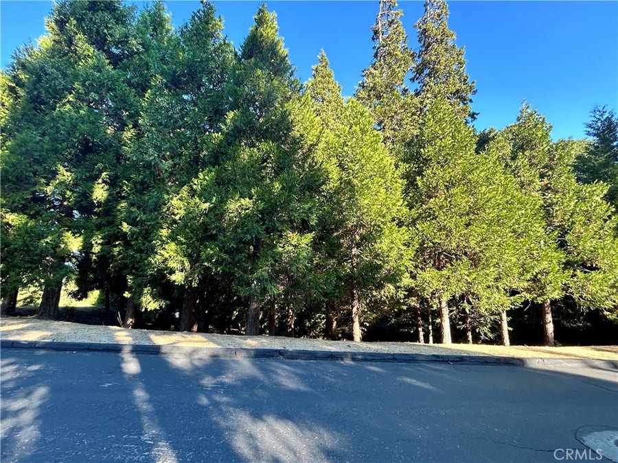 Property photo for 28980 White Dove Lane, Lake Arrowhead, CA