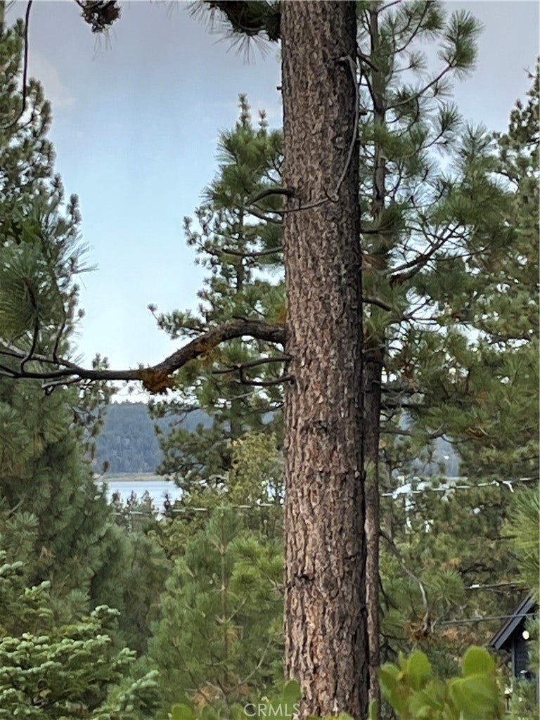 Property photo for 833 Great Spirits, Big Bear Lake, CA