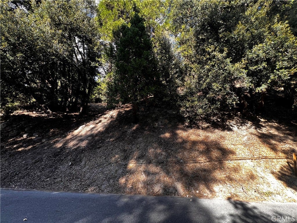 The property looking up from Arbula Dr.