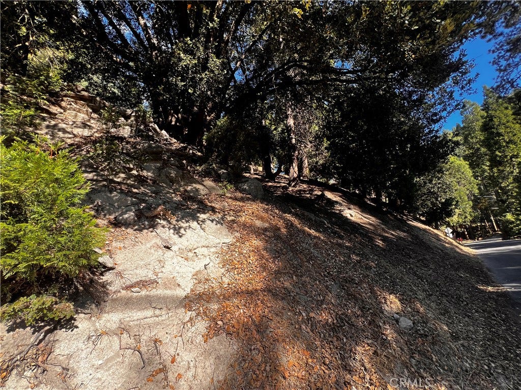 Bottom of property from Arbula Dr.