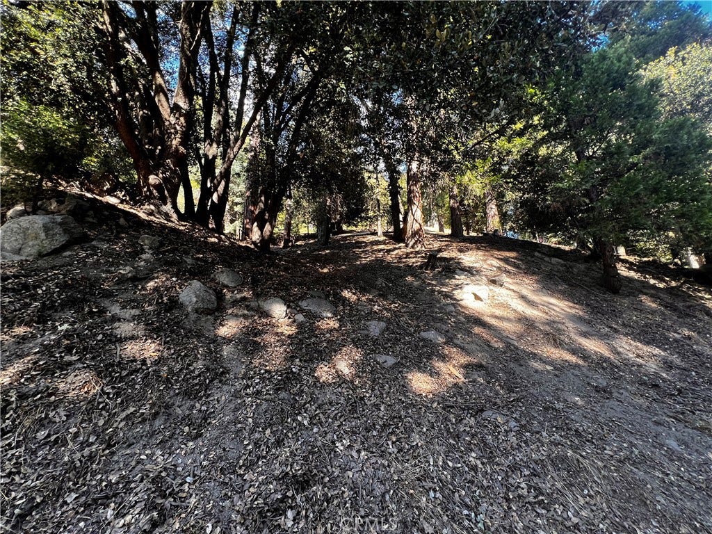 The property looking up from Arbula Dr.