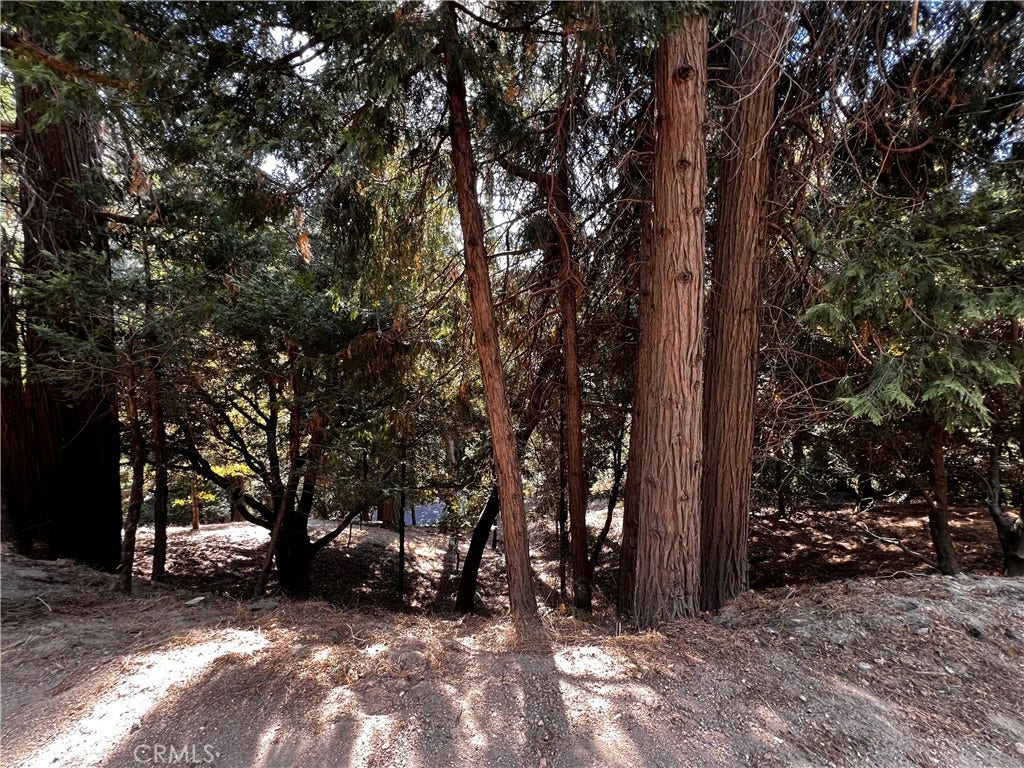 Looking down the property from Valle Dr.