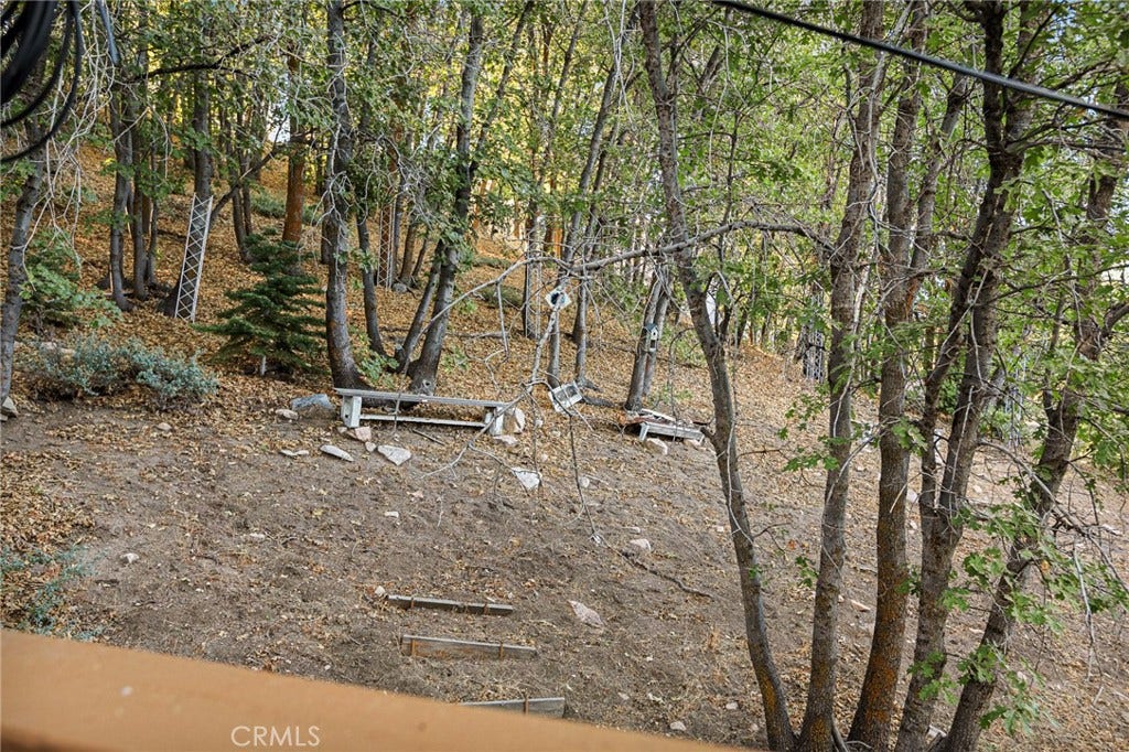 2151 Tank Road, Arrowbear, CA 92382 Side yard