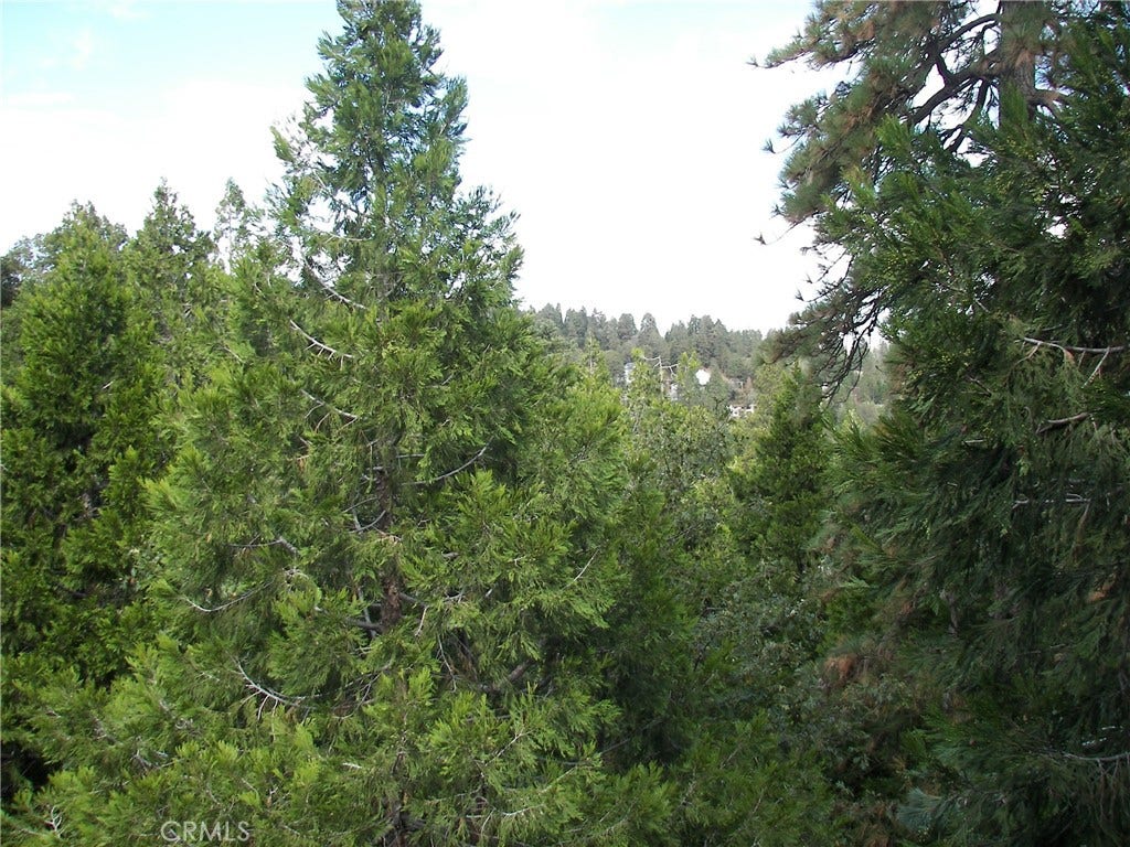 23730 Lakeview, Crestline, CA 92325 23730 Lakeview, Crestline, CA 92325