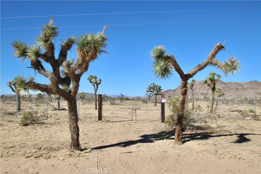 Property photo for 58807 Philippi, Landers, CA
