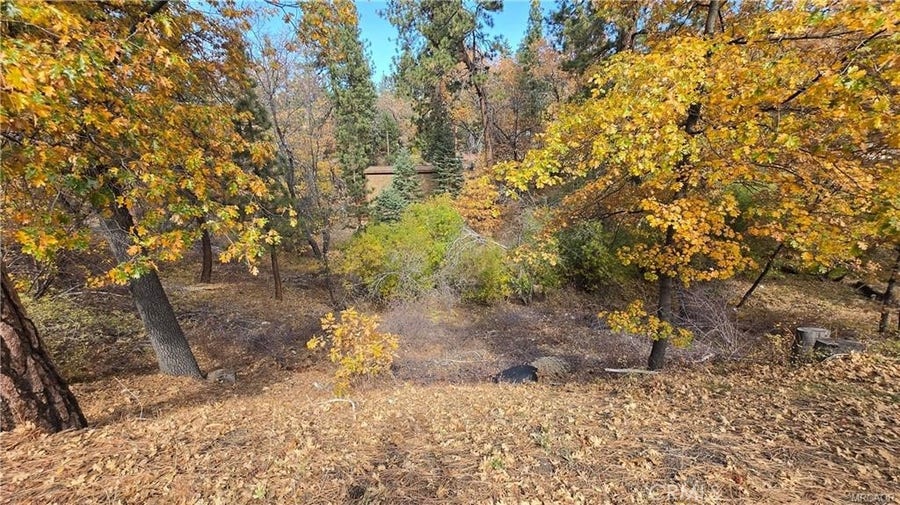 Property photo for 1000 Butte Avenue, Big Bear, CA